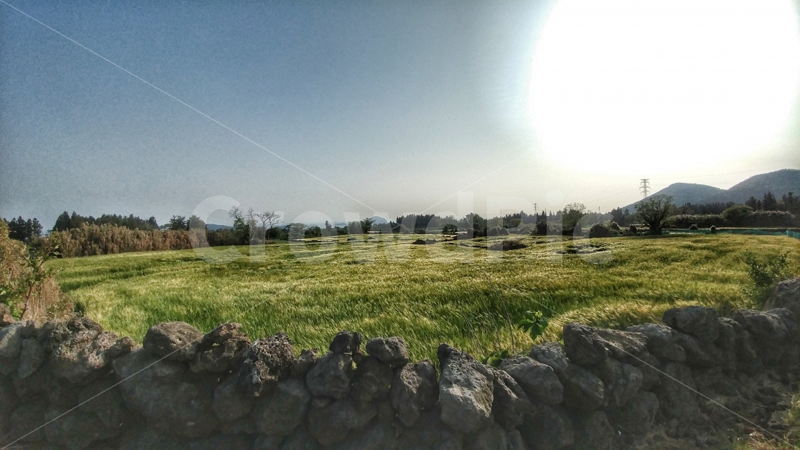 들판,제주도,배경,광각,hdr,자연,풍경,nature,landscape,제주도,jeju,jeju island,wall,벽,outdoors,옥외