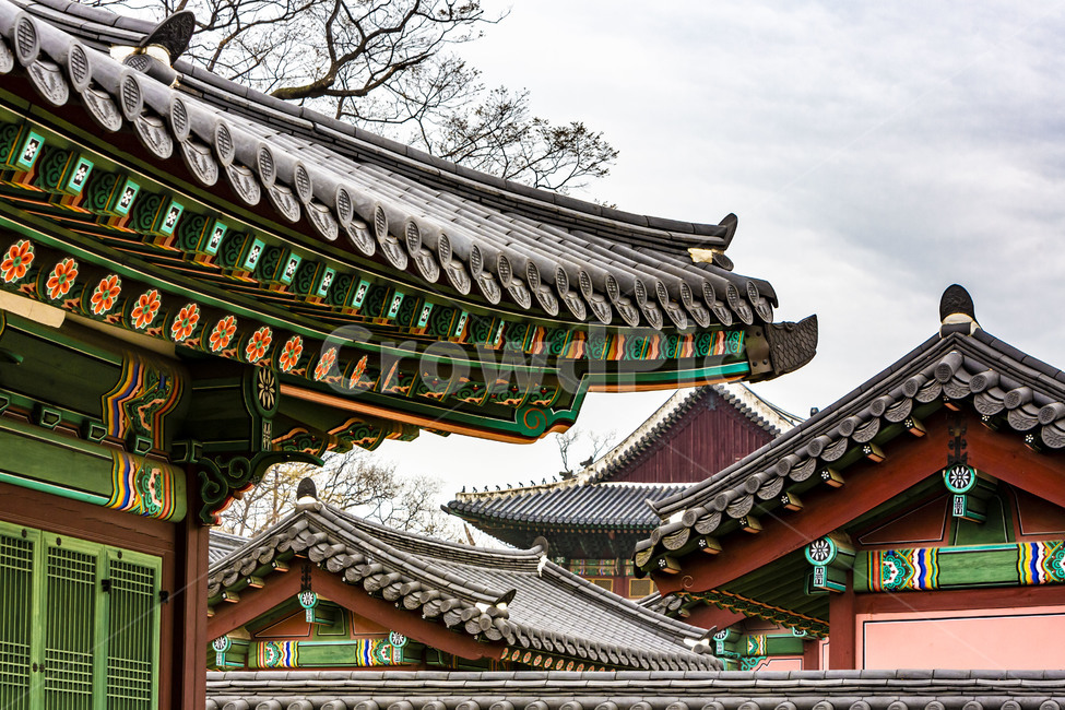 창덕궁,문화유산,궁궐,고궁,기와,전통기와,기와지붕,추녀,단청,전통가옥,인정전,한국전통,한국문화,korean traditional,korean culture,건축물,건물외관,exterior,building,structure,architecture,construction
