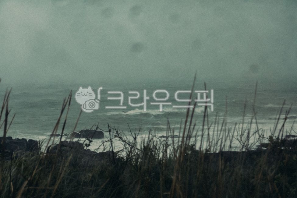 비오는날, 흐린, 비바람, 자연, 비, 사진,이미지,일러스트,캘리그라피 - JackyPhoto작가