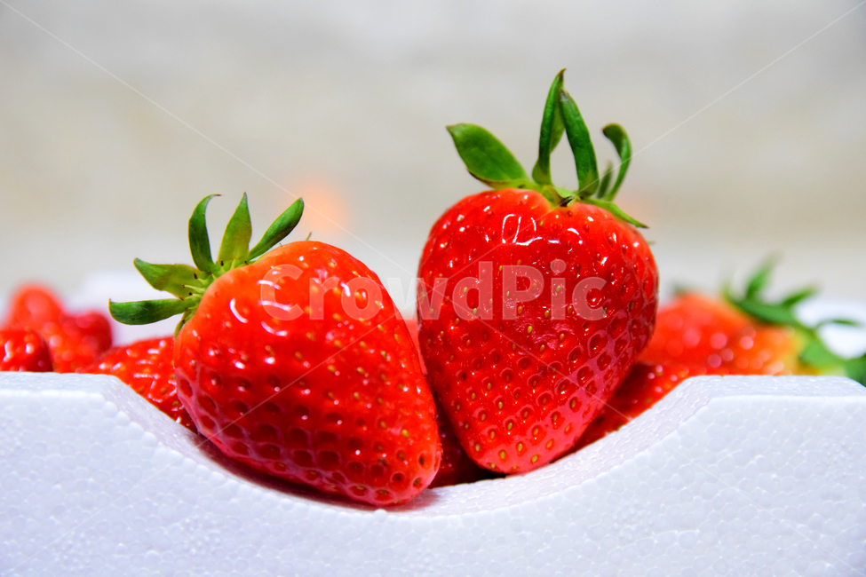 딸기,후식,음식,과일,식재료,열매,빨강색,dessert,fruits,strawberry,음식,식재료,요리,food,cook,meal,dishes,food reserves,과일,열매,fruit,채소,야채,vegetables