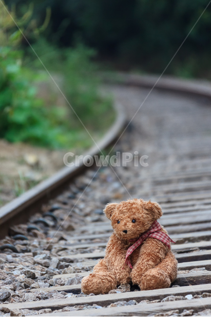 alone,railroad,Teddy bear,one,end,loneliness,teddy bear,abandoned,Come back
