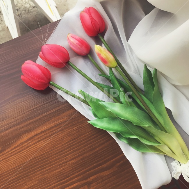 꽃,튤립,카페,인테리어,감성,꽃,flower