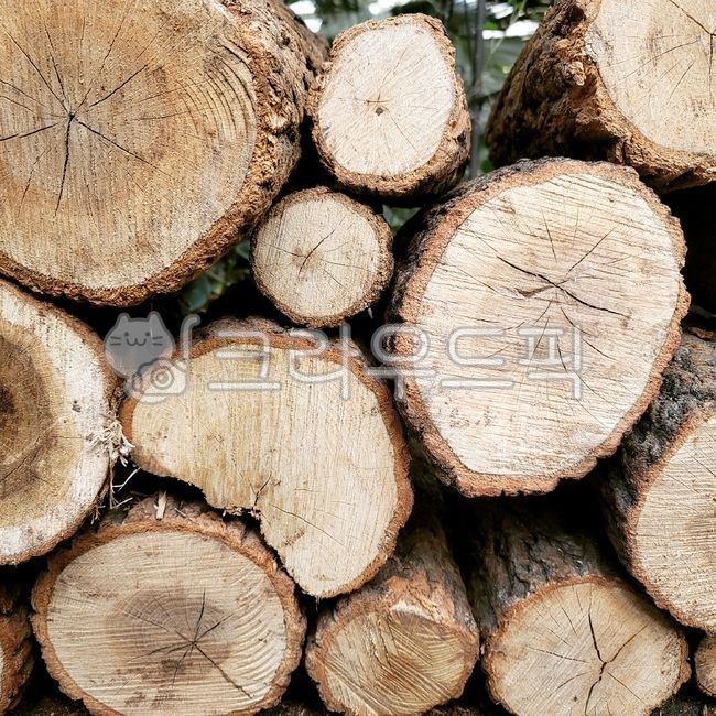cafe,tree,wood,cross section of wood,interior