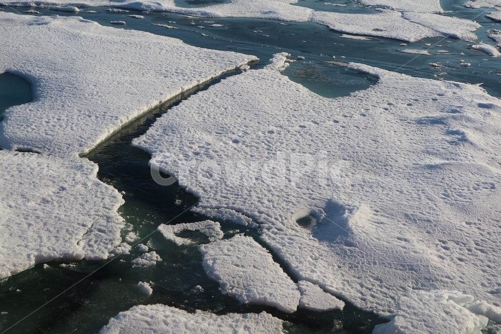 북극,북극곰,발자국,북극곰발자국,빙하,북극해,극지,눈,바다,해양,arctic,snow,polarbear,footprint,자연,arcticocean,겨울,계절,winter,season,자연,풍경,nature,landscape,outdoors,옥외,mountain,산
