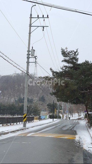 전신주,rode,길,나무,눈