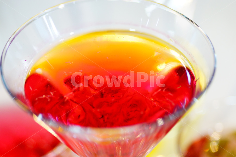 차,꽃차,카페,티,음료,힐링,식물,tea