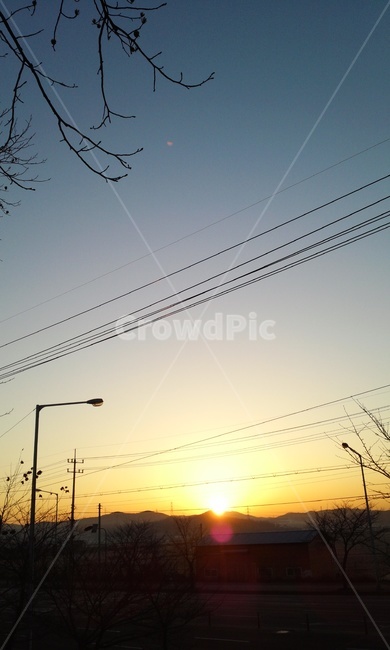 해,일출,안산,새벽,아침,오전,산책,동네,하늘,역광,풍경,감성,자연,풍경,nature,landscape,cable,케이블,power lines,전력선,electric transmission tower,송전탑