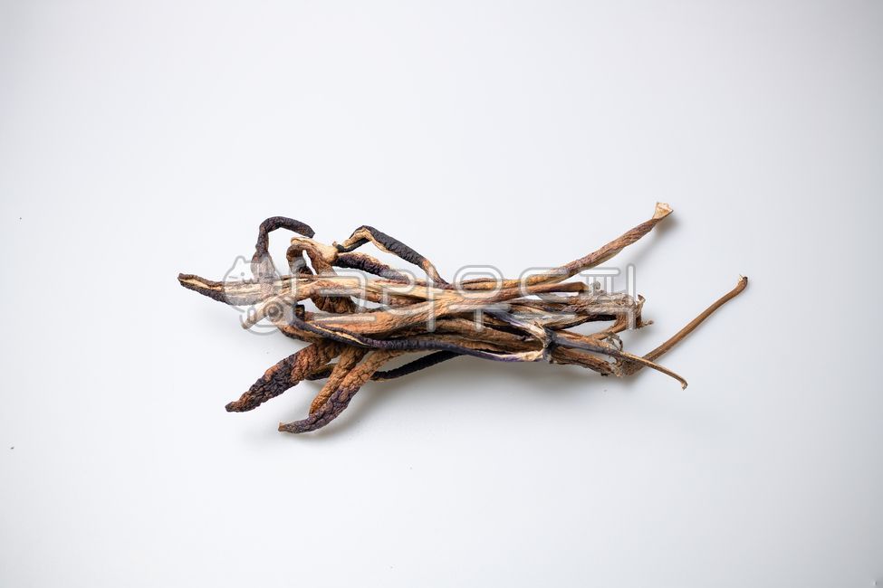 건조된식자재,가지,음식,가지무침,검은색,겨울