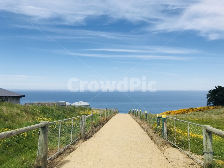 뉴질랜드,남섬,터널비치,자연,맑은하늘