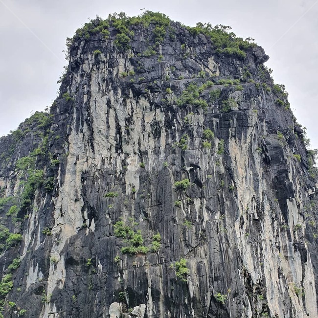 자연,하노이,하롱베이,낭떠러지,경관,자연,풍경,nature,landscape