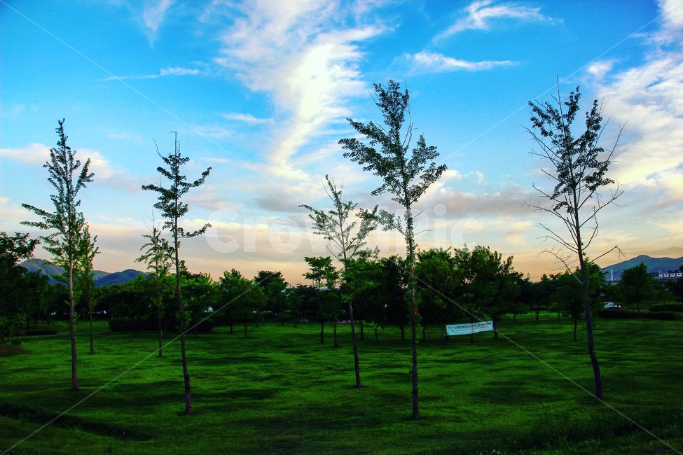 나무,자연,색감,구름,초록,하늘,감성,감성사진,풍경,풍경사진,자연,풍경,nature,landscape,grass,잔디,plant,식물,lawn,outdoors,옥외,park,공원