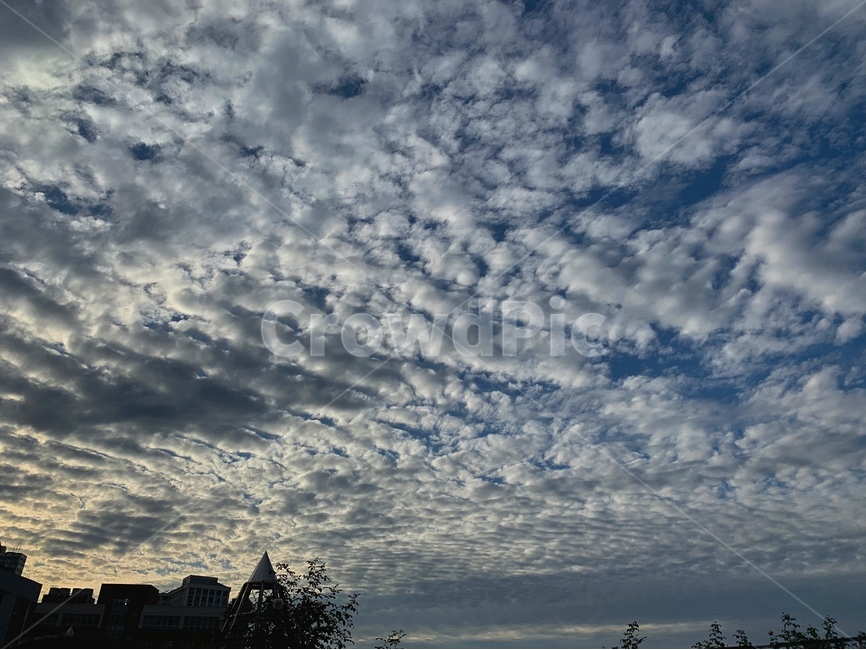 nature,자연,weather,하늘,sky,cloud,구름,양떼구름