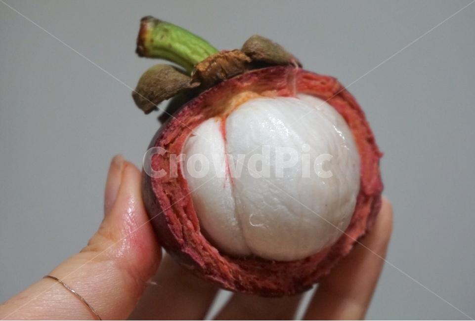 망고스틴,과일,생식,태국과일,fruit,과일식,음식,식재료,요리,food,cook,meal,dishes,food reserves,과일,열매,fruit