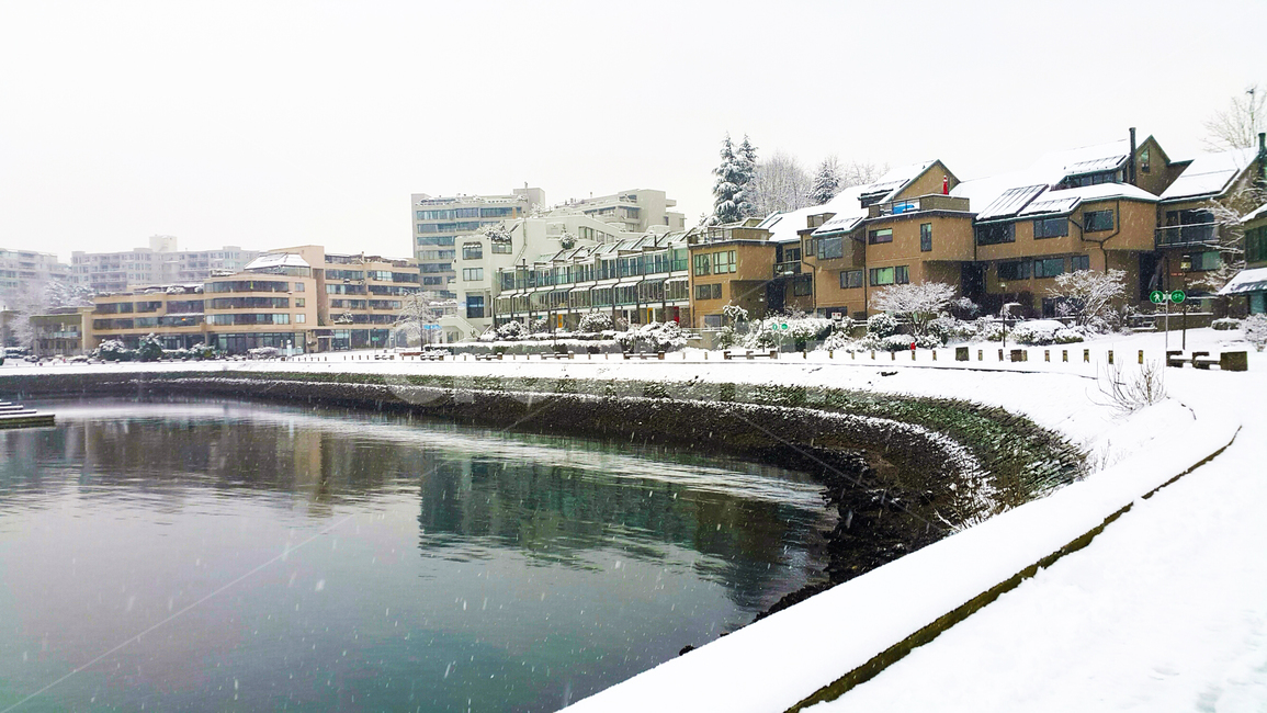 눈,설경,주택가,강변,water,물,snow