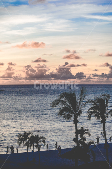 사이판,하늘,바다,야자수,노을,일몰,낙조,자연,풍경,nature,landscape,해변,바다,beach,sea,해외,외국,세계,foreign,oversea,world,세계자연풍경,해외자연풍경,외국자연풍경,world nature landscape
