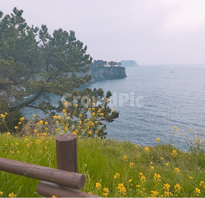 경치,풍경,바다,제주도,자연