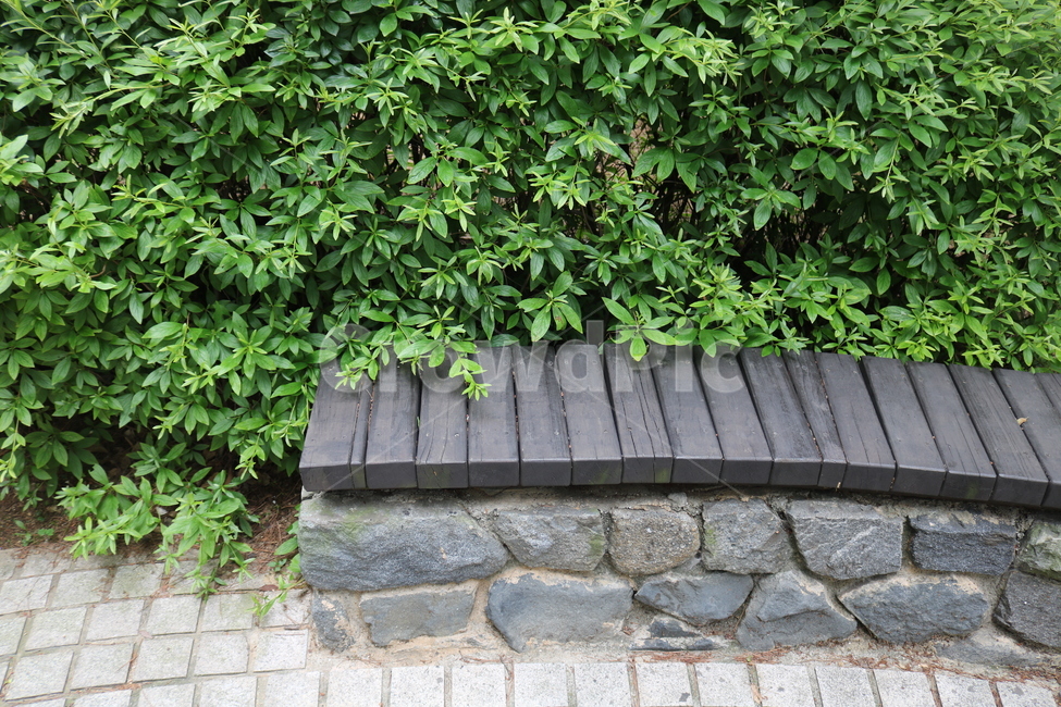 자연,풀,잎,벤치,공원,nature,leaf,leaves,의자,woodstonechiar,publicpark