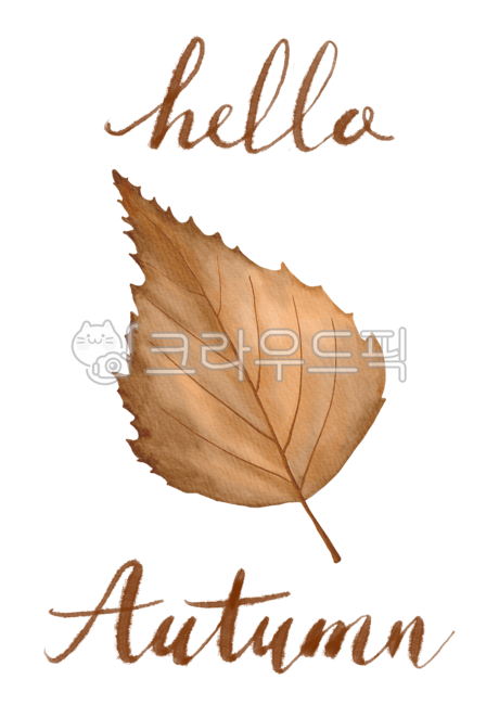 november,Botanical,Maple leaf,botanical,drawing,english,season,decoration,handwork,natural,hand drawing,tree,brown,watercolor,closeup,background,plant,october,autumn,Watercolor,poster,calligraphy,colorful,lettering,Callie,seasonal,botany,bright,isolated,s