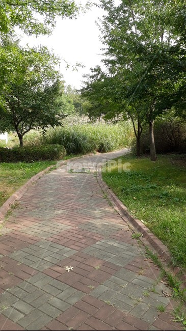 path,통로,walkway,보도,flagstone,판석,바닥,공원,park,길,road,숲,숲속,green,자연,nature