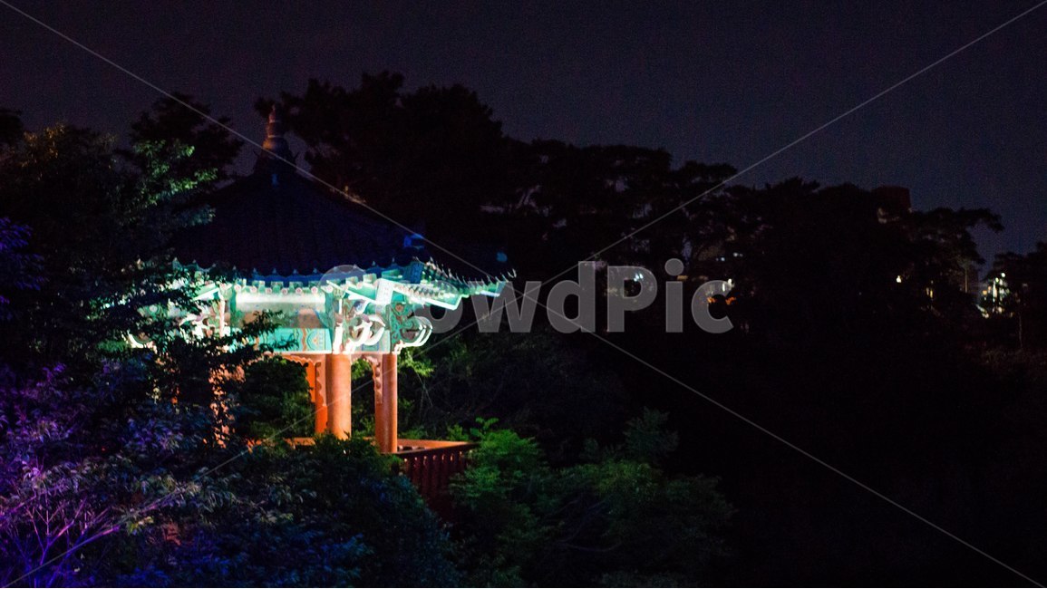 야경,팔각정,풍경,밤,조명,자연,풍경,nature,landscape,한국자연풍경,한국자연경관,korea nature landscape,야경,밤,nightscape,night,한국전통,한국문화,korean traditional,korean culture,gazebo,전망대