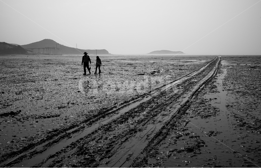 갯벌,사람,바다,갯길,진흙,썰물,자연,풍경,nature,landscape,사람,인물,인간,human,person,인물실루엣,사람실루엣,character silhouette,human silhouette,흑백,모노톤,monochrome,black and white,ground,바닥,soil,흙