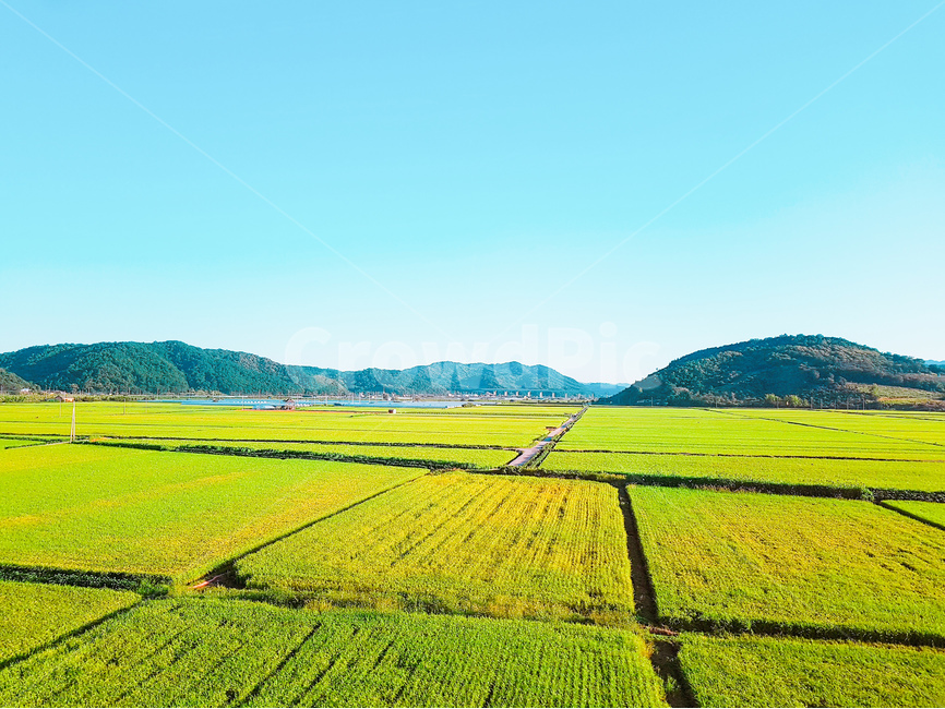 논,벼,풍경,가을,하늘,자연,풍경,nature,landscape,한국자연풍경,한국자연경관,korea nature landscape,시골,마을,country,rural,town,산업,industry,industrial,농업,농사,agriculture,farming,farming industry,grassland,목초지,outdoors,옥외,field,들,paddy field,패디 필드