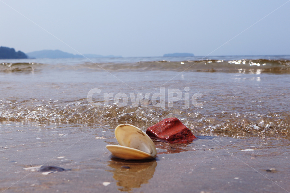 바다,조개,파도,해변,여름바다,시원한바다,해변,바다,beach,sea