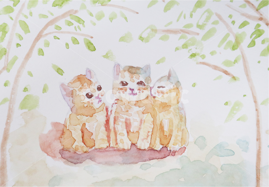 수채화,고양이,동물,행복한,나무,여름,봄,낮,미소,웃음