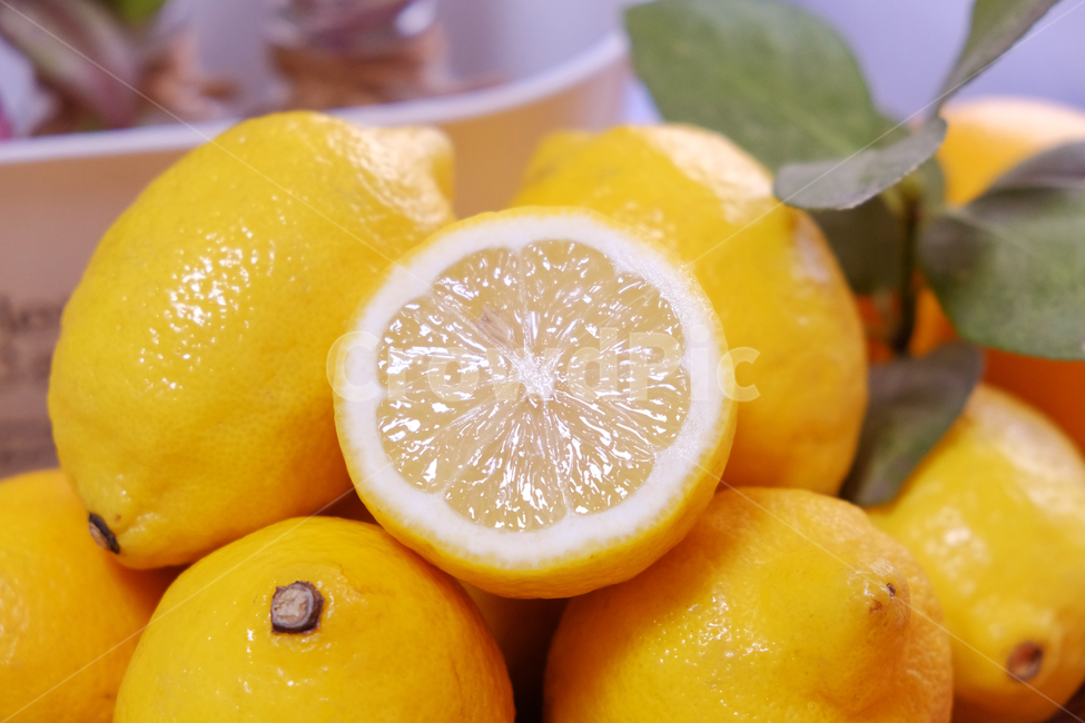 레몬,과일,식품,신선,음식,노랑,상큼,새콤,열매,lemon,fruit,fresh,food,yellow,bunch,sour,berries,음식,식재료,요리,food,cook,meal,dishes,food reserves,과일,열매,fruit
