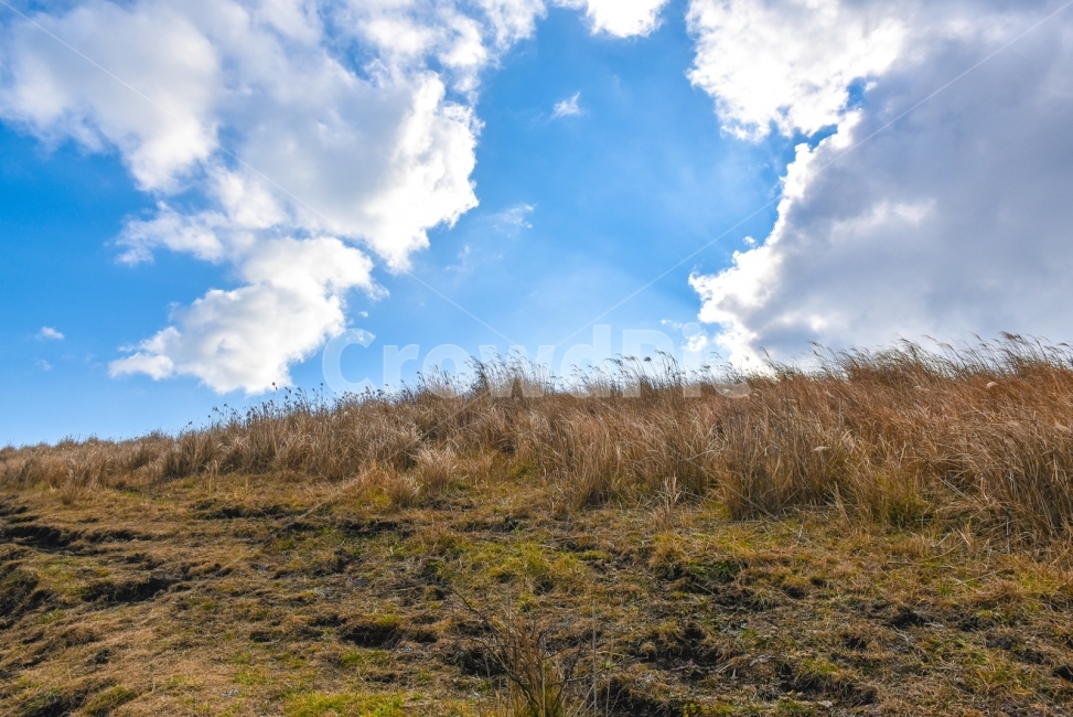 Dumoak,Younggap Kim,Reed,jeju island,Yongnuni Oreum,Jeju Island scenery,Olle trail,rise