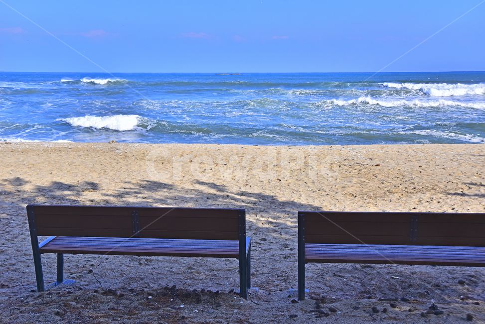 바닷가,파도,바다,동해바다,해안가,모래밭,sandybeach,coast,seashore,seaside,한국자연풍경,풍경,벤치,bench,landscape,모래사장,해수욕장,나무,해송,푸른하늘,포말,바다풍경,물,background,빈의자,텅빈,한적한,백그라운드,배경,바탕,옥외,야외,outdoor,healing,nature,자연,ocean,water,의자,쉼터,나무의자,해변,바다,beach,sea