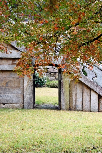 불국사,돌계단,입구,단풍,가을,감성,풍경,경주,landmark,문화유산,traditional,신라,가을,계절,fall,autumn,season,plant,식물,tree,나무