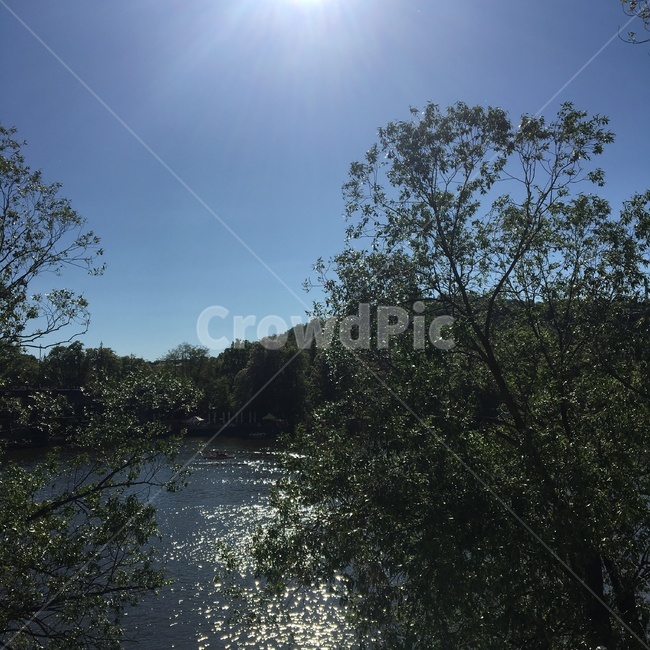 강가,나무,강,자연,river,light,outdoors,옥외