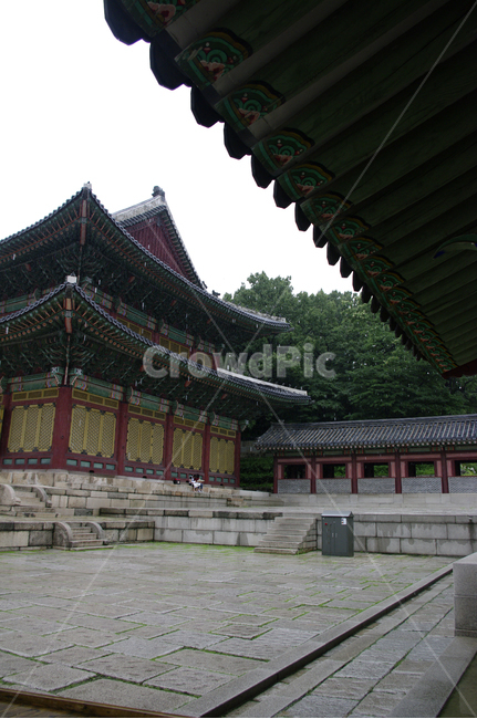 인정전,창덕궁,고궁,한옥,전통가옥,기와지붕,건축,traditional,박석,돌,한국전통,한국문화,korean traditional,korean culture,비,비오는날,rain,rainy,건축물,건물외관,exterior,building,structure,architecture,construction