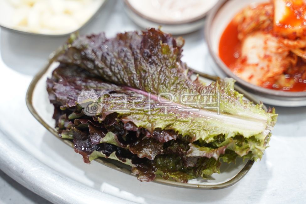 상추, 야채, lettuce, 꽃상추, 쌈야채, 사진,이미지,일러스트,캘리그라피 - llfamous작가