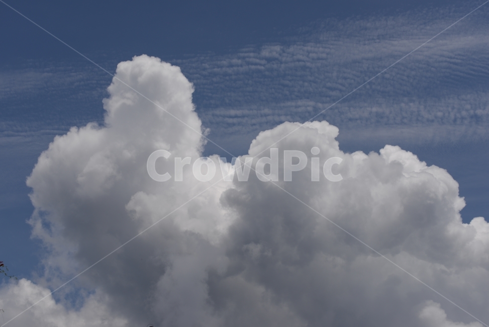 구름,적운,뭉게구름,자연현상,자연,하늘,여름,제주도,여행,cloud,clouds,thick,summer,sky,landscape,skyscape,nature,vapour,자연,풍경,nature,landscape,weather,날씨,outdoors,옥외,cumulus