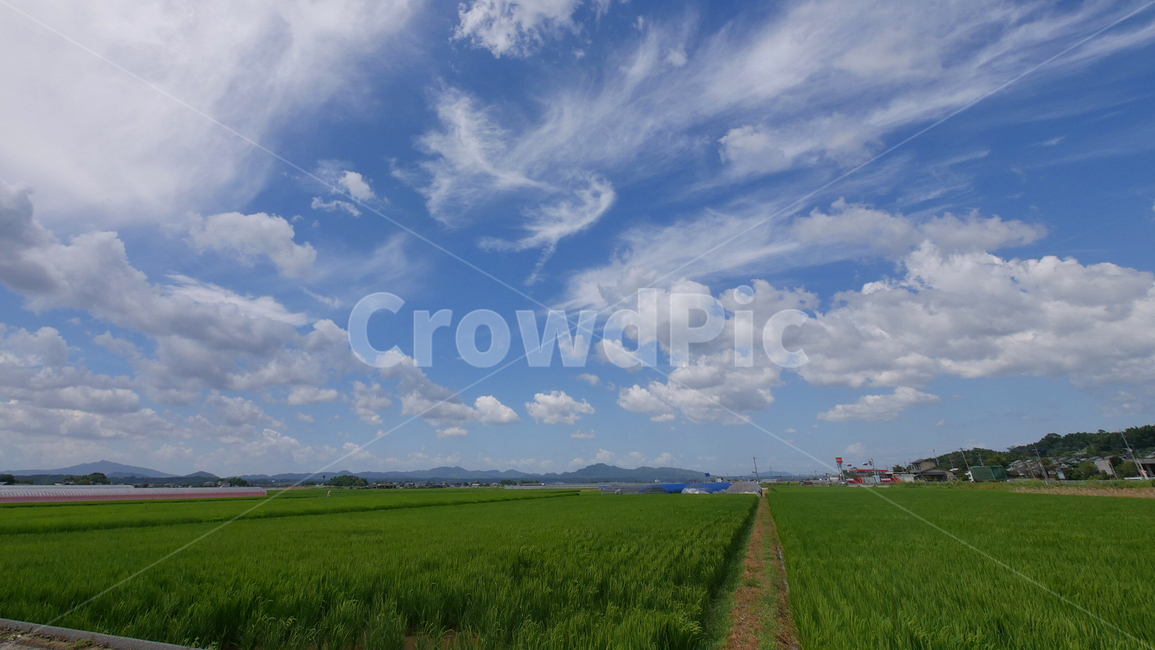 일본,쿠마모토,하늘,구름,논밭,자연,풍경,경치,nature,자연,풍경,nature,landscape