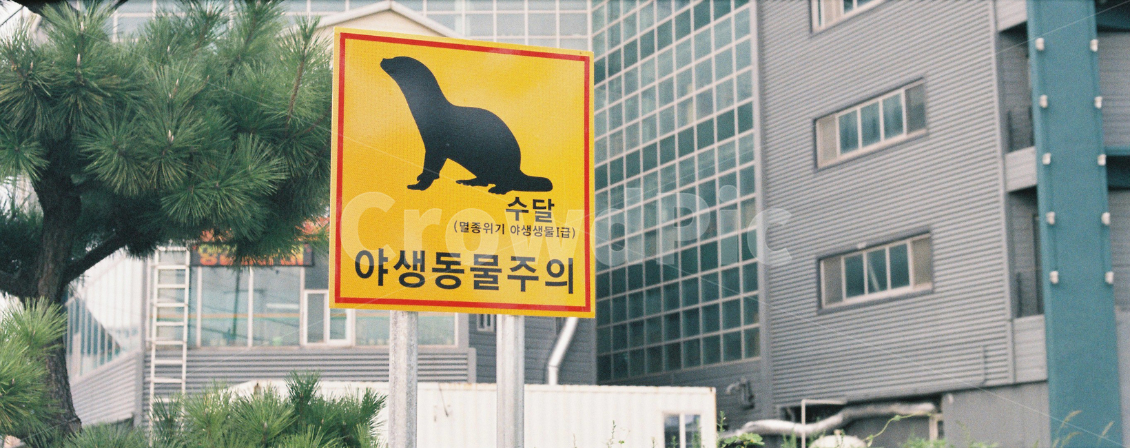 표지판,야생동물주의,수달,길거리표지판,길거리