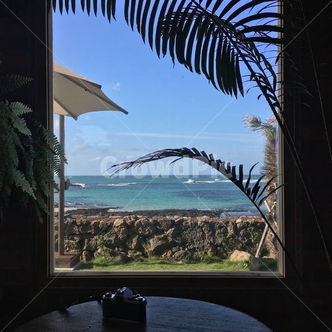 제주,바다,하늘,창문,오션뷰,돌담,풀,카메라,제주도,jeju,jeju island