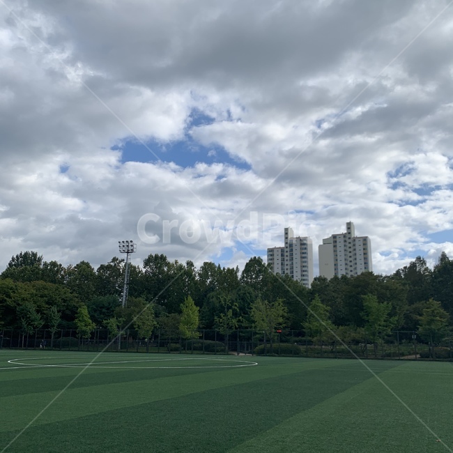축구장,outdoors,옥외,잔디,잔디구장