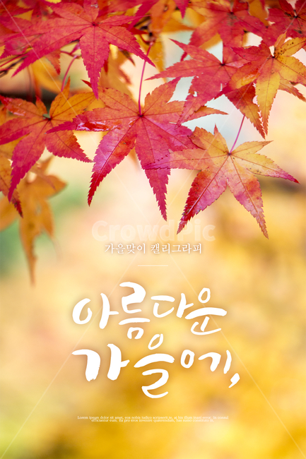 Maple leaf,background,handwriting,autumn,calligraphy,Maple
