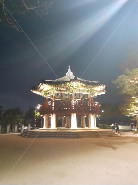 정자,산,human,인간,사람,공원,해맞이,야경,봄놀이,꽃구경,마당,전통적인,전통건축,멋짐,배경화면,달밤,구경