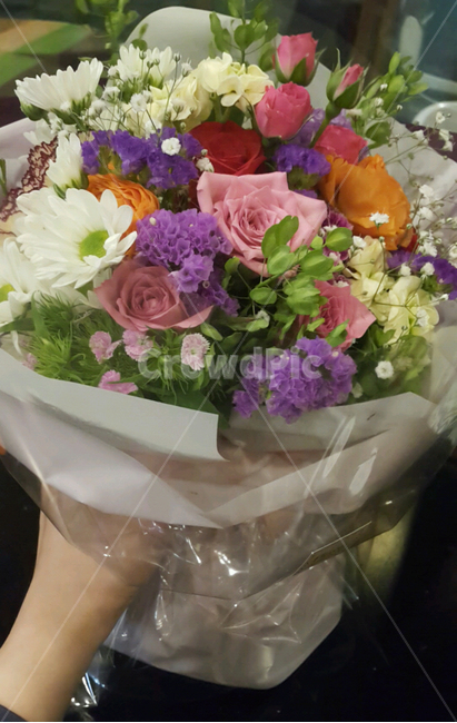 식물,꽃,꽃부케,꽃다발,plant,flower,flowerbouquet,꽃꽂이,flowerarrangement,blossom