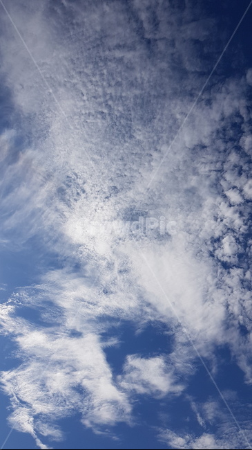 하늘,구름,파란하늘,하얀구름,sky,cloud,bluesky,뭉게구름,nature,자연,outdoors,옥외,자연,풍경,nature,landscape