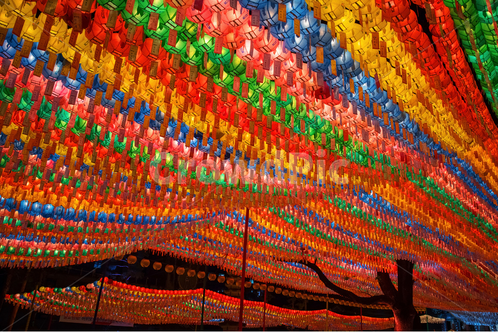 연등,사찰,불교,연등행사,조계사,석가탄신일,buddhism,lotuslantern,종교,신앙,religion,belief,faith