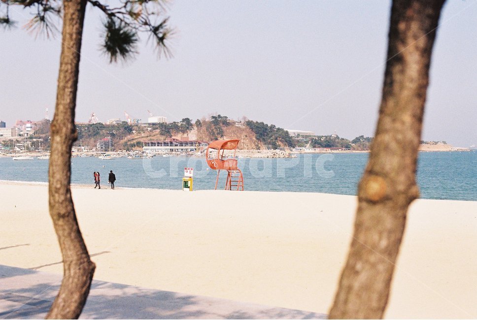 바다,해변,백사장,파도,나무,해변,바다,beach,sea