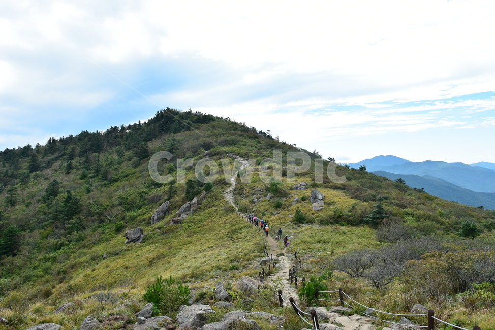 지리산,가을,풍경,비경,힐링,산행,아름다운,국립공원,감성,시즌,명산,등산,트레킹,national,park,전망,조망,nature,landscape,산그리메,산너울,자연,풍경,nature,landscape,사람들,대중,군중,other people,crowd,slope,경사,outdoors,옥외,hill,언덕