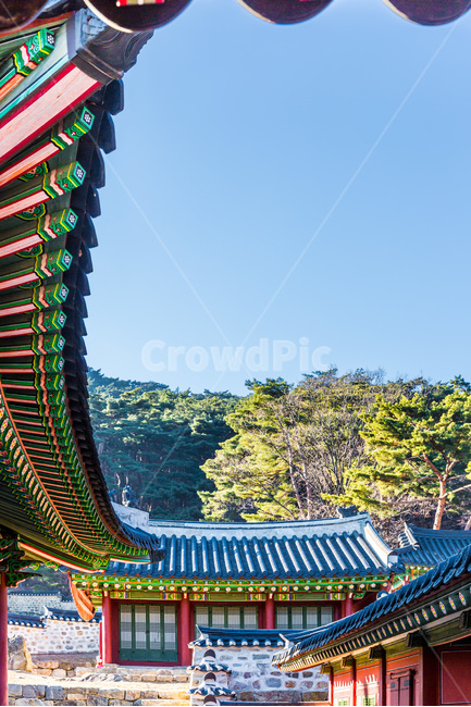 고궁,선,문화유산,한국의미,패턴,한국전통,한국문화,korean traditional,korean culture,랜드마크,landmark,tourist attraction,한국랜드마크,한국관광지,한국명소,korea landmark,korea tourist attraction,건축물,건물외관,exterior,building,structure,architecture,construction