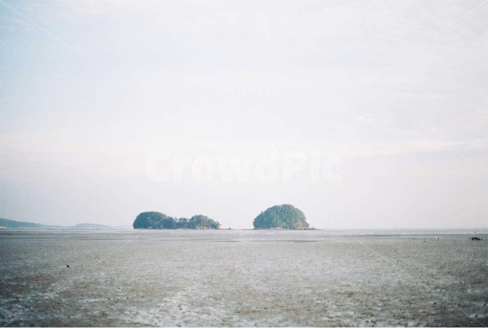 서천,바다,갯벌,해안가,섬,필름카메라사진,sea,foreshore,sky,하늘