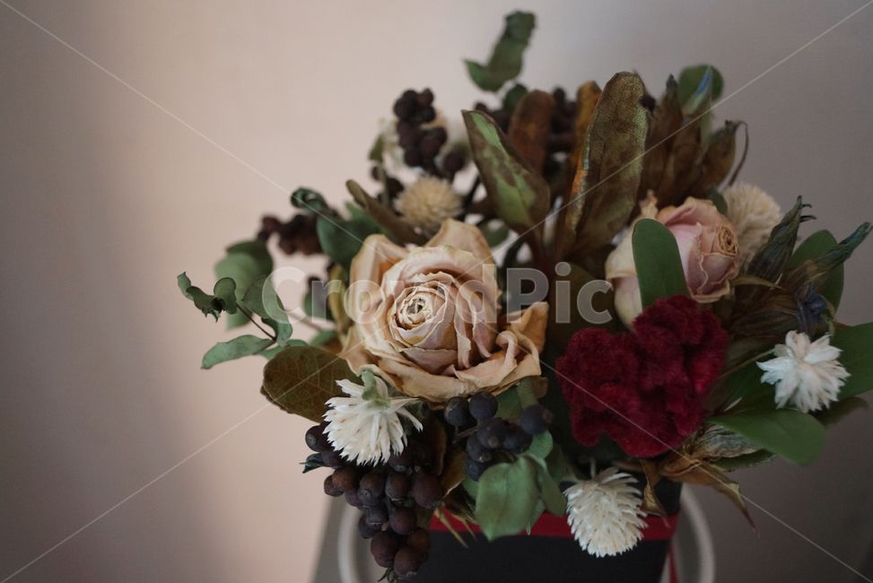 plant,식물,flower,꽃,flowerarrangement,blossom,꽃부케,flowerbouquet,드라이플라워,말린꽃,말린장미,dry
